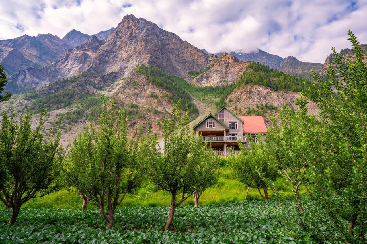Zostel Homes Rashil Tandi 外观 照片